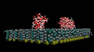 Water molecules on the hydrophobic surface [upl. by Peskoff481]