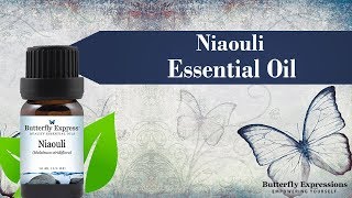 Niaouli Essential Oil for your Next Level [upl. by Iharas325]