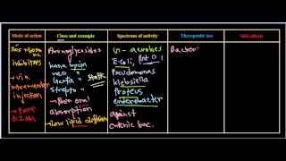 Aminoglycosides antibiotics [upl. by Dunaville]