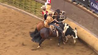 RODEO EN VIVO 36 SERIE CRIADEROS 2018 [upl. by Oiceladni]