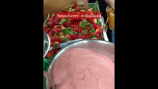 Strawberry thailand [upl. by Retnuh]