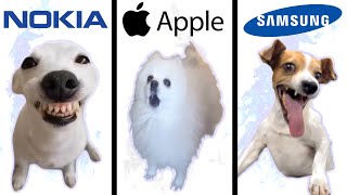 Dog Memes but famous phone ringtones [upl. by Sidhu]