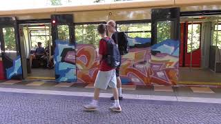 BLESD Graffiti Subway Train SBahn Berlin 2024 [upl. by Ycnaf407]