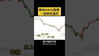 揭祕MACD指標 一招鮮吃遍天 技術分析 盘势分析 macd [upl. by Nahn]