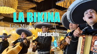 LA BIKINA en Vivo Madrid [upl. by Alby951]