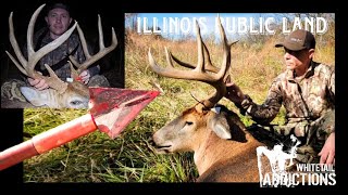 PUBLIC LAND ILLINOIS BIG BUCKS with Brain Douglas [upl. by Dimah]