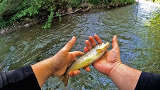 PECANJE PASTRMKE U PROLECE Pecanje na plovak  FISHING FOR TROUT Float Fishing [upl. by Acissaj548]