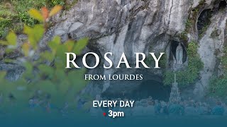 Rosary from Lourdes  26082024 [upl. by Nylac]