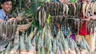 SPICY PICKLED 60KG of Bamboo Shoot with Deep Fried Clarias Macrocephalus Recipe  Cooking amp Sharing [upl. by Ninehc]