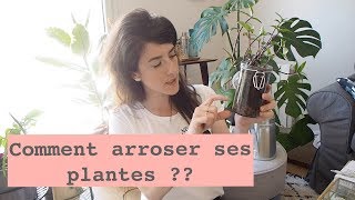 Arrosage Plantes dintérieur  Quand amp Comment les arroser [upl. by Sabina]