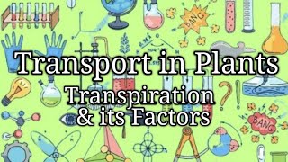 O Level Biology  Transpiration in Plants Factors that Affect Rate of Transpiration [upl. by Nomzaj]