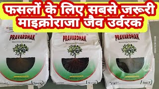 pravardhak Mycorrhiza Biofertiliser । फसलों के लिए सबसे जरूरी माइक्रोराजा जैव उर्वरक।mycorrhiza [upl. by Nolyak]