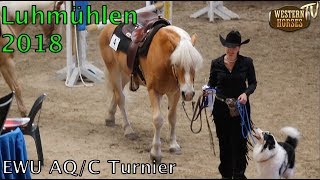 WHTV EWU AQC Turnier Luhmühlen 2018 [upl. by Johnna]