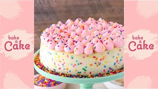 Funfetti Cheesecake Decorating For Party  Bake A Cake Shorts [upl. by Trebleda]