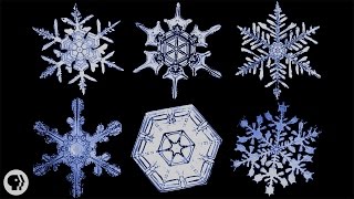 The Science of Snowflakes [upl. by Dillon]