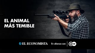 El animal más temible [upl. by Duahsar]