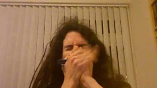 Slow Blues in D  solo harmonica [upl. by Llednohs]