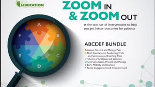 ABCDEF Bundle Implementation Teamwork Early Implementation of ABCDEF Bundle Rounds [upl. by Tnairb285]