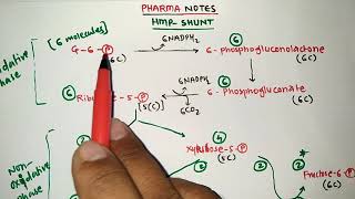 HMP SHUNT TRICKS  BIOCHEMISTRY  METABOLISM OF CARBOHYDRATES  PHARMACY EXAM  GPAT  NIPER  MBBS [upl. by Elwina]