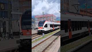 sbb cff ffs seehas stadlerflirt stadler trainspotting train shorts yt [upl. by Airlie]