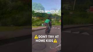 SH125i wheelie bike wheelie funny stunt rider bikelife honda miami ⚠️dont do at home⚠️ [upl. by Ardnuhsal928]