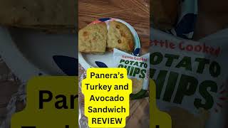 Panera Chipotle Chicken amp Avocado Sandwich Review  Quick Taste Test panerabread foodreview [upl. by Ahsillek139]