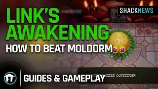 Links Awakening  How to Beat Moldorm [upl. by Mikihisa]