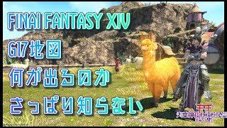 【FF14黄金】G17地図って何が出るの？【火垂よひら仮】 [upl. by Rame479]