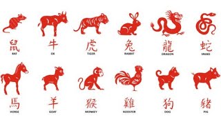 I 12 ANIMALI DELLO ZODIACO CINESE  China Time [upl. by Nonaihr]