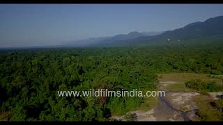 Manas National park fabulous forests along IndoBhutan border of subHimalayan moist riverine tract [upl. by Aile]