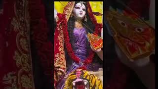 Barhalganj ke chillupar ki maharani 🙏 😍navratrispecial songsubhnavratri shorts viralshorts [upl. by Karlise]