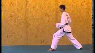 ITF Taekwon Do Patterns  Saju Makgi [upl. by Acirej]