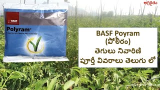 BASF Polyram Fungicide in Telugu  పోలీరం తెగులు నివారణి పూర్తీ వివరాలు తెలుగు లో Metiram 70 WG [upl. by Arron616]