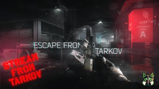 Tarkov DailyEFTArena feat Ra1leg Sakura Maeda [upl. by Rockefeller482]