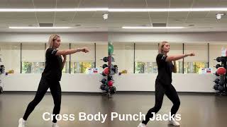 Cross Body Punch Jacks [upl. by Ingram]