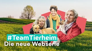 Kalle muss schlafen lernen S01E01  TeamTierheim  MDR [upl. by Wolbrom157]