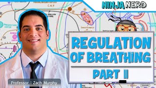 Respiratory  Regulation of Breathing Central amp Peripheral Chemoreceptors Part 2 [upl. by Giverin]