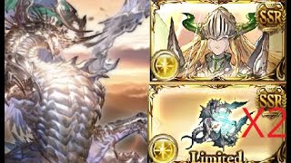 【グラブル】GBF スパバハ ソロ 光マグナ（ユニ琴２本）Super Ultimate Bahamut Solo Light Magna [upl. by Allemap]