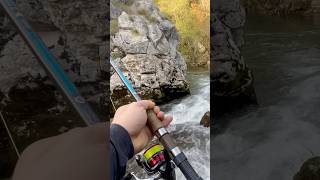 fishing spinningrod carp spin carpfishing spining fish sping bassfishing spinningtips [upl. by Adi]