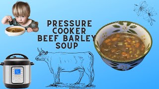 Pressure Cooker Beef Barley Soup [upl. by Ydnar]