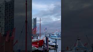 Hamburg Hafen mit Elbphilharmonie  Hamburg meine Perle 😍🥂🍻 2024 hafen hamburg shorts [upl. by Macdougall194]