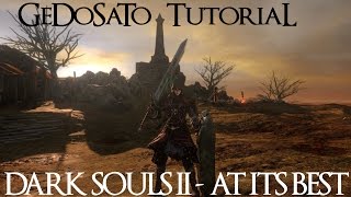 Dark Souls II GeDoSaTo  quotMostlyquot InDepth Tutorial [upl. by Murtha]