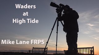 Photographing the High Tide Wader Roost at Snettisham [upl. by Atews616]