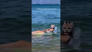 Lake Tahoe 🌀 art maskmaking otherhearted alterhuman quadrobics catmask therian [upl. by Acilegna]