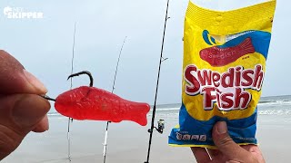 Using Swedish Fish Candy To Catch EVERY SPECIES of Fish Beach Fishing w Candy For Bait [upl. by Noll323]