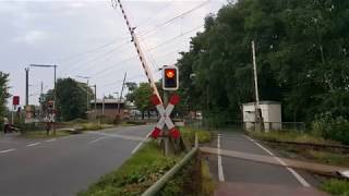 Bahnübergang StadlandRodenkirchen Marktstraße  Railroad Crossing  Spoorwegovegang [upl. by Layney]