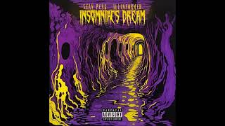 Sean Peng amp Illinformed – Insomniacs Dream 2024 [upl. by Lymn465]