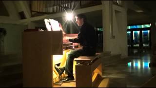 JRUTTER  Toccata in seven  maestro Daniele Toffolo [upl. by Yrreiht780]