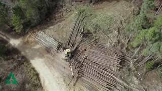 Weyerhauser Lumber Mill Bruce MS Long Version Video [upl. by Waneta]