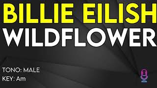 Billie Eilish  Wildflower  Karaoke Instrumental  Male [upl. by Ahsain]